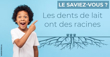 https://dr-taverniers-jeroen.chirurgiens-dentistes.fr/Les dents de lait 2
