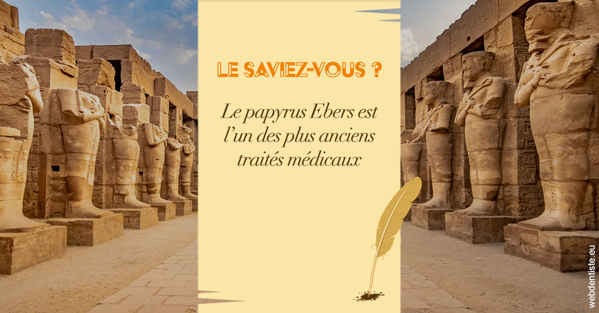 https://dr-taverniers-jeroen.chirurgiens-dentistes.fr/Papyrus 2