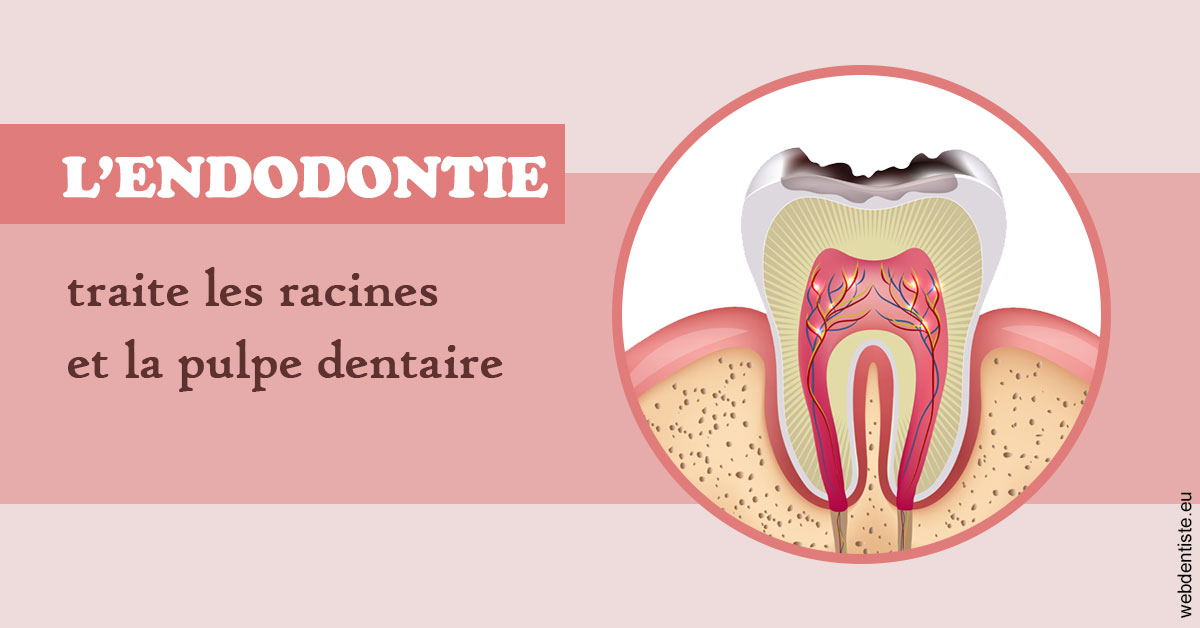 https://dr-taverniers-jeroen.chirurgiens-dentistes.fr/L'endodontie 2