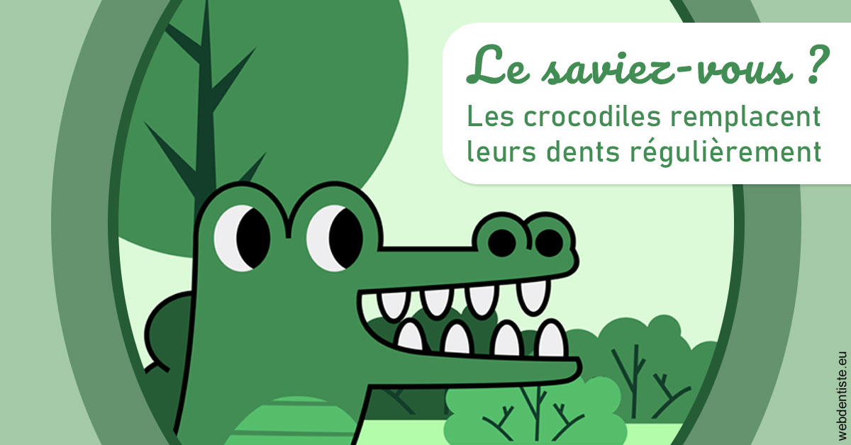 https://dr-taverniers-jeroen.chirurgiens-dentistes.fr/Crocodiles 2