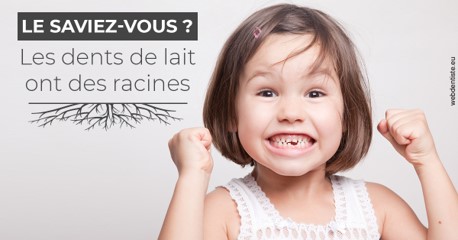 https://dr-taverniers-jeroen.chirurgiens-dentistes.fr/Les dents de lait