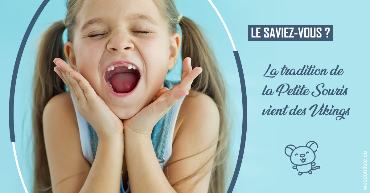https://dr-taverniers-jeroen.chirurgiens-dentistes.fr/La Petite Souris 1