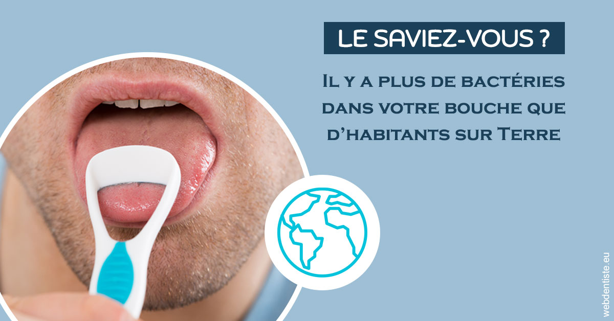 https://dr-taverniers-jeroen.chirurgiens-dentistes.fr/Bactéries dans votre bouche 2