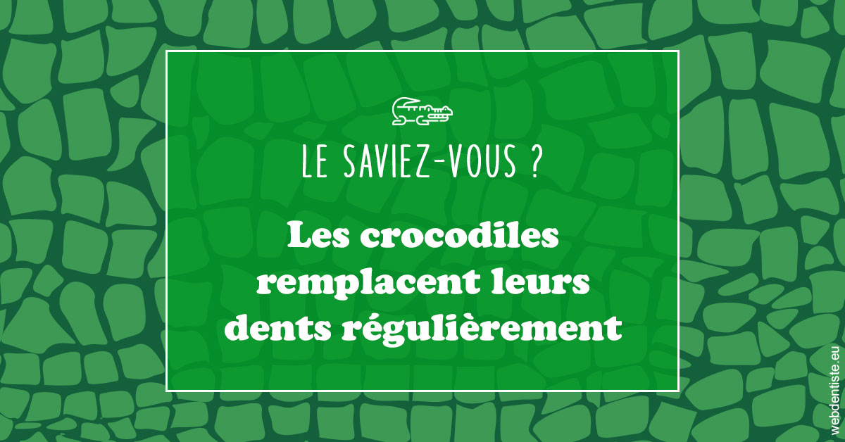 https://dr-taverniers-jeroen.chirurgiens-dentistes.fr/Crocodiles 1